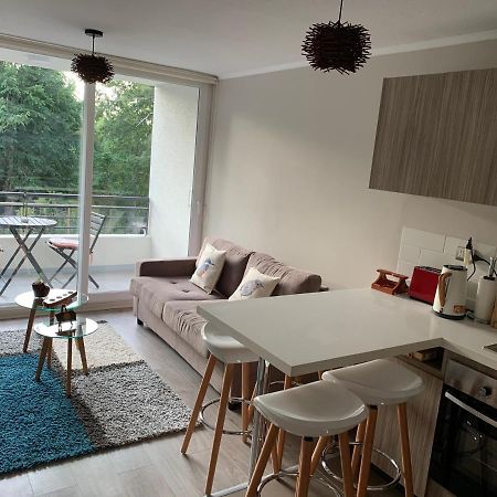 Nuevo Y Muy Bien Equipado Departamento En Pucon Apartment ภายนอก รูปภาพ