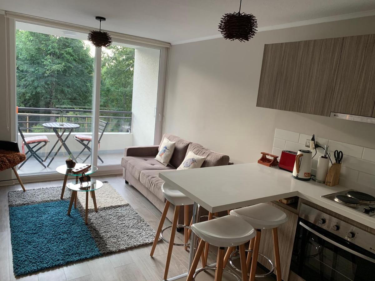 Nuevo Y Muy Bien Equipado Departamento En Pucon Apartment ภายนอก รูปภาพ