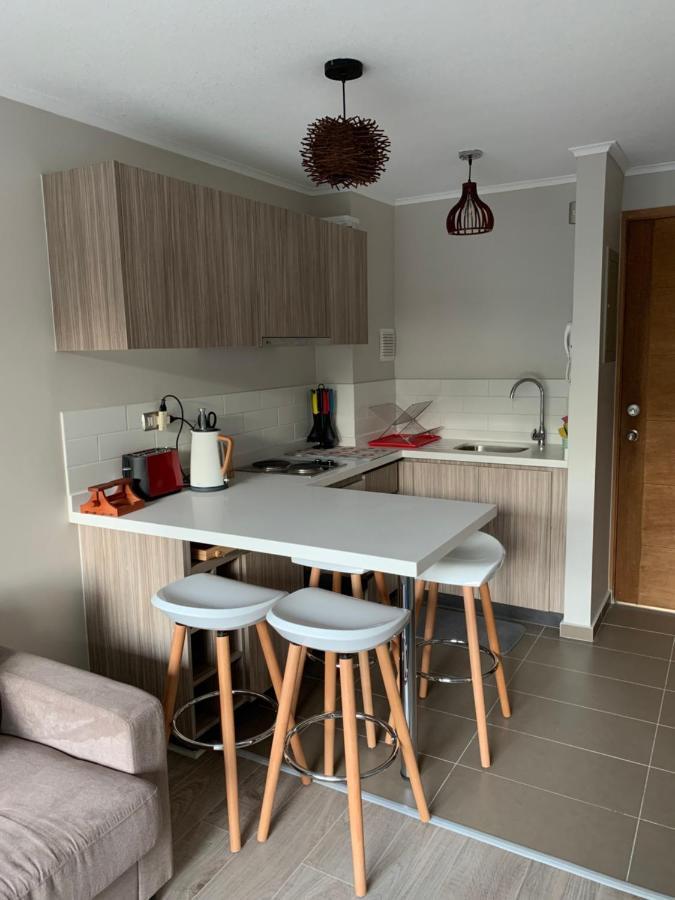 Nuevo Y Muy Bien Equipado Departamento En Pucon Apartment ภายนอก รูปภาพ